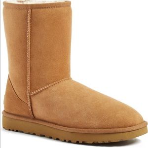 chestnut short uggs